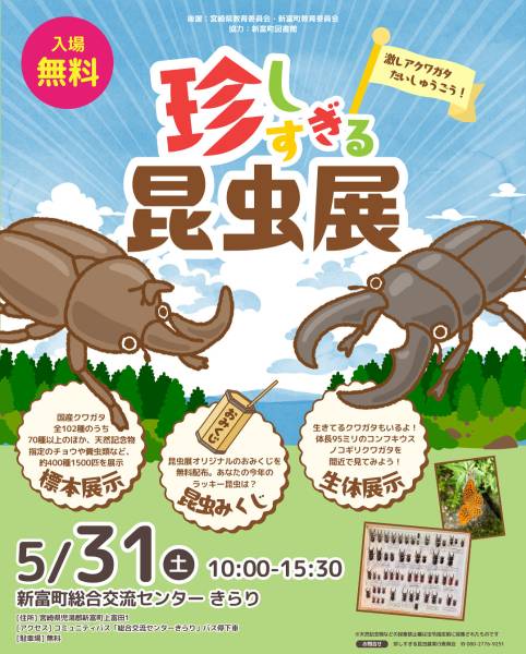 昆虫展チラシ